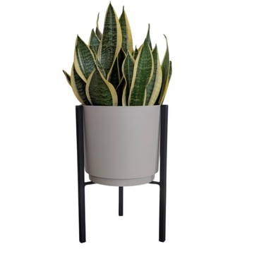 Двойное растение для растения с горшком 5 цветов блэк -металла