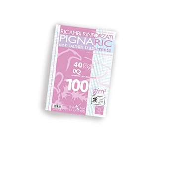 Pigna Ric zeszyt, 80 stron, A4
