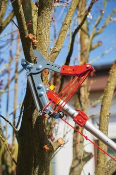 Секатор деревьев WOLF-Garten Professional RC-VM
