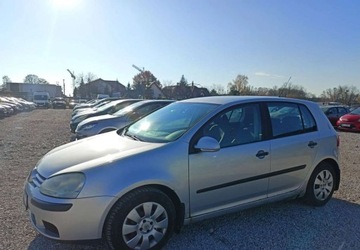 Volkswagen Golf V Hatchback 1.9 TDI 105KM 2005 Volkswagen Golf Volkswagen Golf 1.9 Diesel 105KM