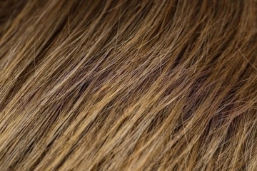 Peruka Syntetyczna FLORENCE Kolory Naturalny Wyglą