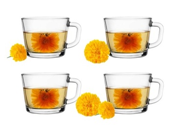 Szklanki do kawy i herbaty Trend Glass 450 ml 4 szt.