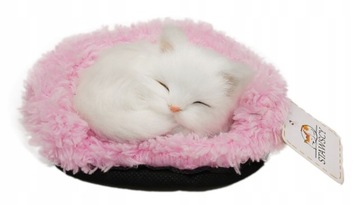 СПЯЩИЙ кот, КОТЕНОК НА ПОДУШКЕ, мяукает как живой