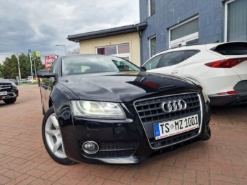 Audi A5 8T Coupe 2.0 TFSI 180KM 2011 Audi A5 Sportback 2.0 Benzyna Xenon Ledy Skóry, zdjęcie 11