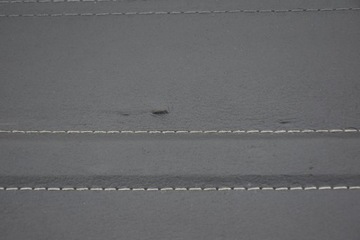 HONDA JAZZ II ШТОРКА БАГАЖНИКА