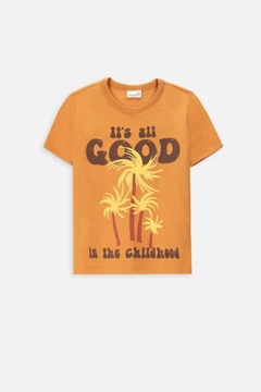 T-shirt Dla Chłopca 158 Brązowy Koszulka Chłopięca Coccodrillo WC4