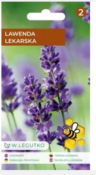 Lawęnda lekarska Miododajna przyjazna dla pszczół