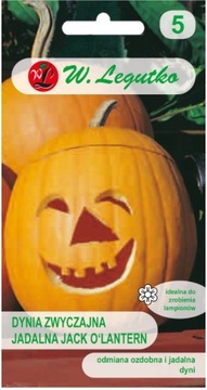 DYNIA OZDOBNA I JADALNA JACK O'LANTERN 'L