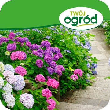 ЖИДКОЕ УДОБРЕНИЕ ДЛЯ САДОВЫХ ГИДРЕНСОВ 900МЛ ЖИДКИЙ КОНЦЕНТРАТ