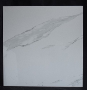 120X120 ОТ HAND PURITY WHITE PULIDO POLER BIZ 305