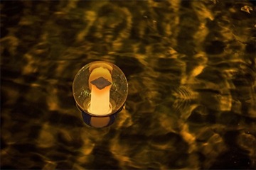 Дозатор химикатов для бассейна с солнечной батареей Bestway 58699