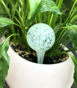 2 X KULE SZKLANE NAWADNIACZ DO KWIATÓW ROŚLIN 9/30