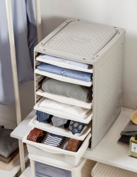 ОРГАНАЙЗЕР ДЛЯ РУБАШЕК, БЕЛЬЯ, РЕМНЕЙ BM