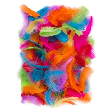 Piórka 5-12 cm, 10 g brights