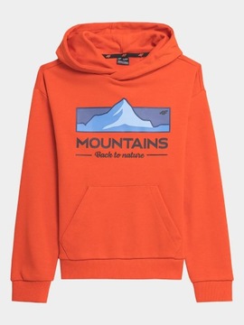 СВИТШОТ С КАПЮШОНОМ 4F ДЛЯ МАЛЬЧИКОВ AW23M634