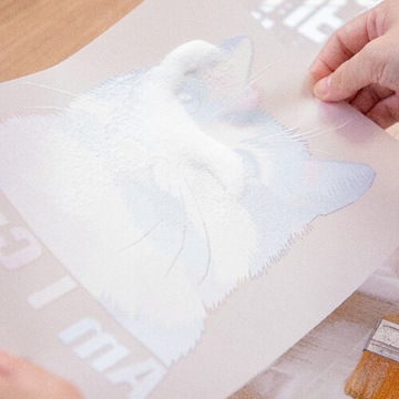 порошок ДТФ