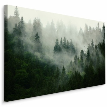 Obraz CANVAS Las WE MGLE Krajobraz Natura 120x80
