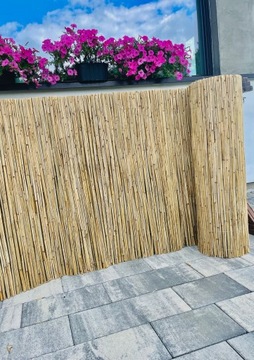 Коврик из камыша, защитный камышовый забор, 1,60х6м, плотный