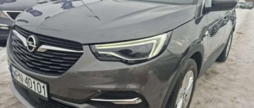 Opel 2018 Opel Grandland X Opel Grandland X 1.2 StartStop Design Line 1.2 Benzyna, zdjęcie 25
