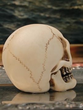 ЧЕРЕП MEMENTO MORI: БЫТЬ ИЛИ НЕ БЫТЬ ПОСВЯЩЕНИЕ