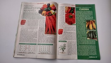 Дзялковец 5 1998