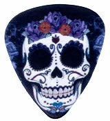 Гитарные медиаторы 6 шт. Необычные черепа! медиатор Feather | Череп