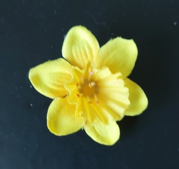 AAA odznaska 7.08.2024