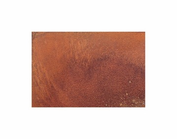 Panel ścienny FRUFORM RUST 90x60 efekt rdzy korten