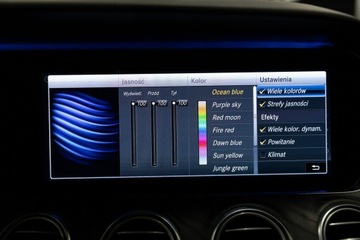 Mercedes Klasa E W213 Limuzyna 2.9 400d 340KM 2018 Mercedes E 400 Distronic. Burmester. Panorama., zdjęcie 39