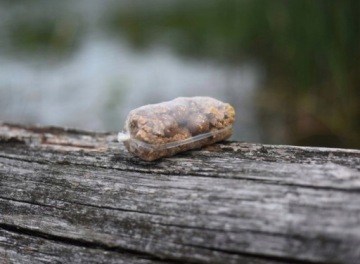 Сетчатые пакеты из ПВА Самовысыхающие пакеты для приманки 50x110мм 25шт