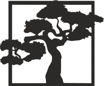 kwadrat drzewo 50 cm bonsai kolory