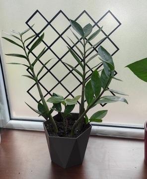 PODPÓRKA KWIATÓW ROŚLIN PERGOLA KRATA 37cm