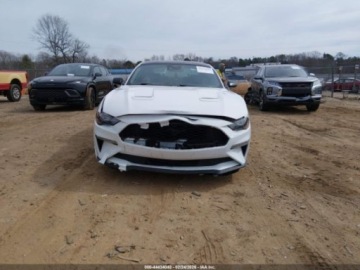 Ford Mustang VI 2022 Ford Mustang Ecoboost Fastback 2022 2.3 Benzyna 310KM, zdjęcie 7