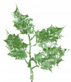 GAŁĄZKA ŚWIĄTECZNA OZDOBNA NA STROIK