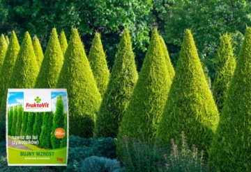 ФРУКТОВИТ ПЛЮС УДОБРЕНИЕ ДЛЯ ТУИ ТХУИ 5КГ