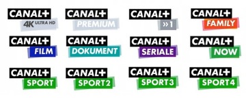 TV CAM 4K CI+ ECP Модуль ТНК Canal+ 1 месяц Без договора Предоплаченное ТВ