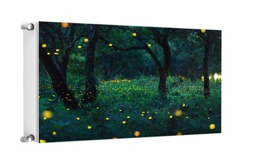 MAGNES MATA MAGNETYCZNA NA KALORYFER 100x60 KRAJOBRAZ