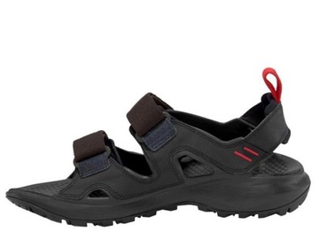 Buty Męskie TNF NF0A46BHKT01 HEDGEHOG SANDAL III Czarne 42