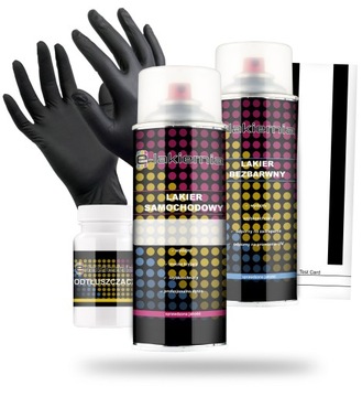 LAKIER SAMOCHODOWY CITROEN EXY EXYB w SPRAYU SPRAY + BEZBARWNY 400ml