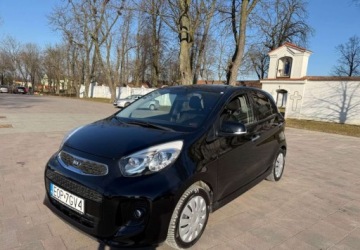 Kia Picanto III Hatchback 5d 1.2 DOHC 84KM 2017 Kia Picanto Kia Picanto 1.2 Dream-Team Edition 1.2 Benzyna 85KM, zdjęcie 19