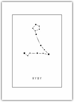 Plakat Znaki Zodiaku Ryby 30x42 żywioł wody Astrologia gwiazdy