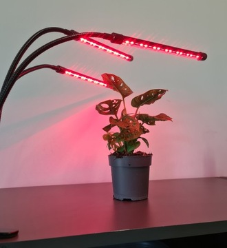 3 лампы для выращивания растений, 60 светодиодных таймеров + пульт дистанционного управления