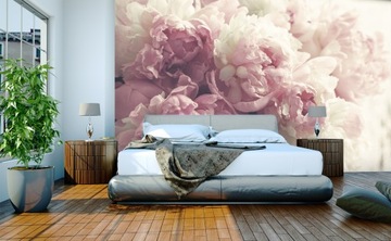 Фотообои ПИОНЫ ПИОНЫ ЦВЕТЫ P01 490x260