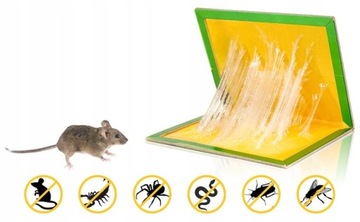 ЛОВУШКА ДЛЯ КРЫС И ГРЫЗУНОВ СТЕКЛЯННАЯ ЛОВУШКА ДЛЯ МЫШИ С ПРОЧНЫМ КЛЕЕМ 30 ШТ.