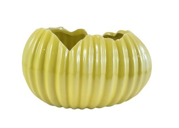 DONICZKA/OSŁONKA SKORUPKA ŻÓŁTA PERŁOWA