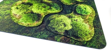 2D УНИВЕРСАЛЬНЫЕ ОБЛАСТИ - ЛЕС