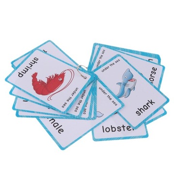 Dziecięce Flash Cards Edukacyjne uczenie się