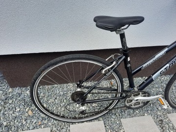 NIEMIECKI ROWER STAIGER DAYTONA ALU RAMA