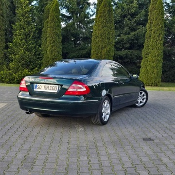 Mercedes CLK W209 Coupe C209 3.2 V6 (320) 218KM 2005 Mercedes CLK 320 W209 3.2 Avantgarde Benzyna 3, zdjęcie 17