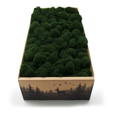 Mech chrobotek fiński 500g netto ciemny zielony